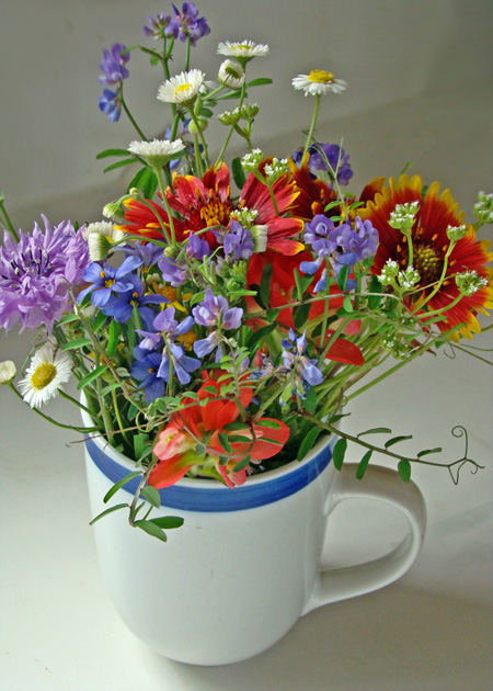 Wildflower Cup by Linda Woods